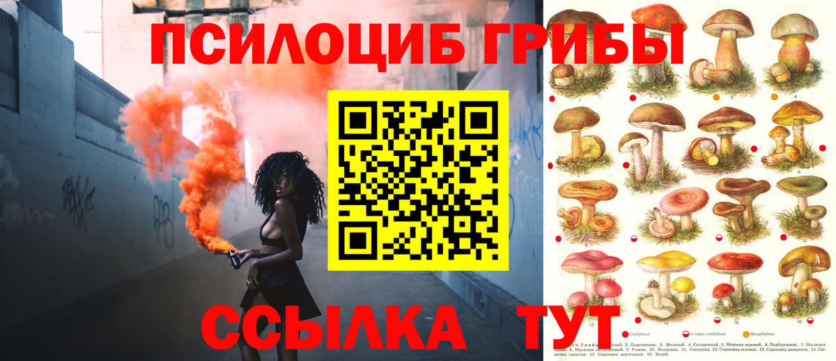 Галлюциногенные грибы мицелий  Галлюциногенные грибы прущие грибы  Вход с VPN  Малоярославец 