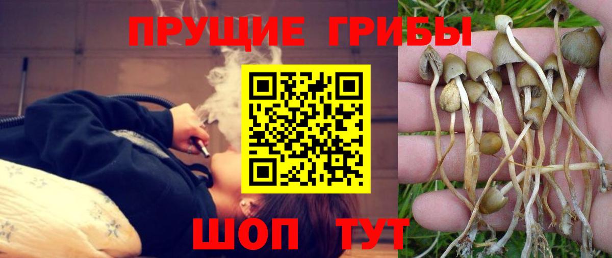 Галлюциногенные грибы MAGIC MUSHROOMS Малоярославец